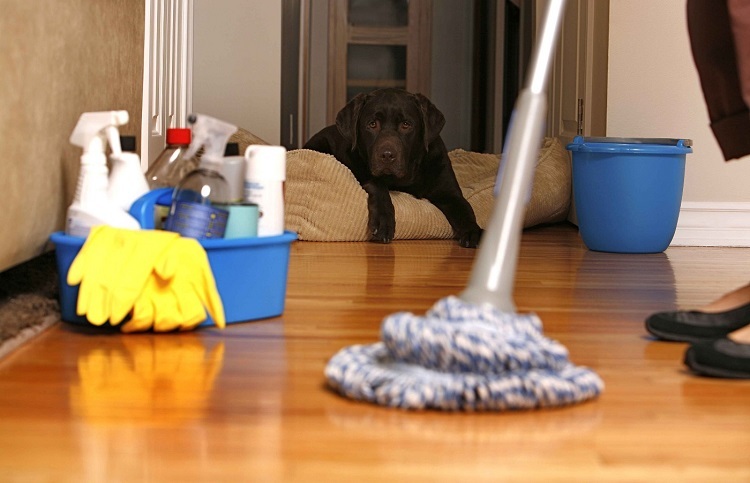 3 Cleaning Services